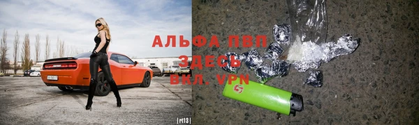 мяу мяу мука Алзамай