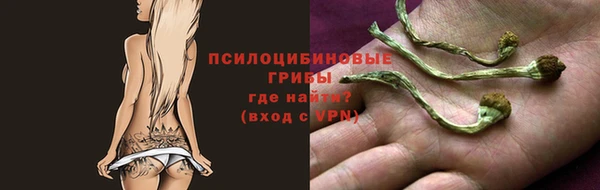 твердый Алексеевка