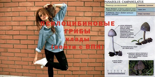 твердый Алексеевка
