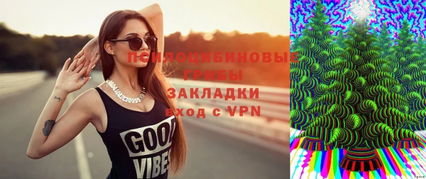 твердый Алексеевка