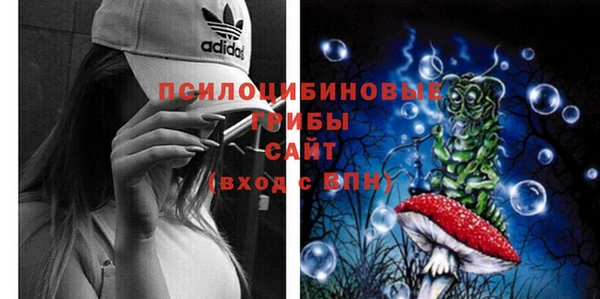 твердый Алексеевка