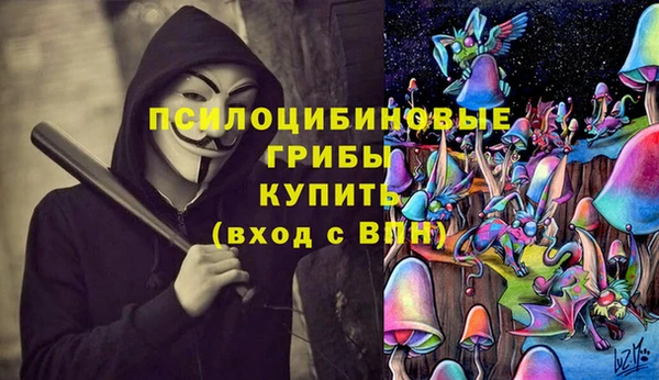 спайс Алексин
