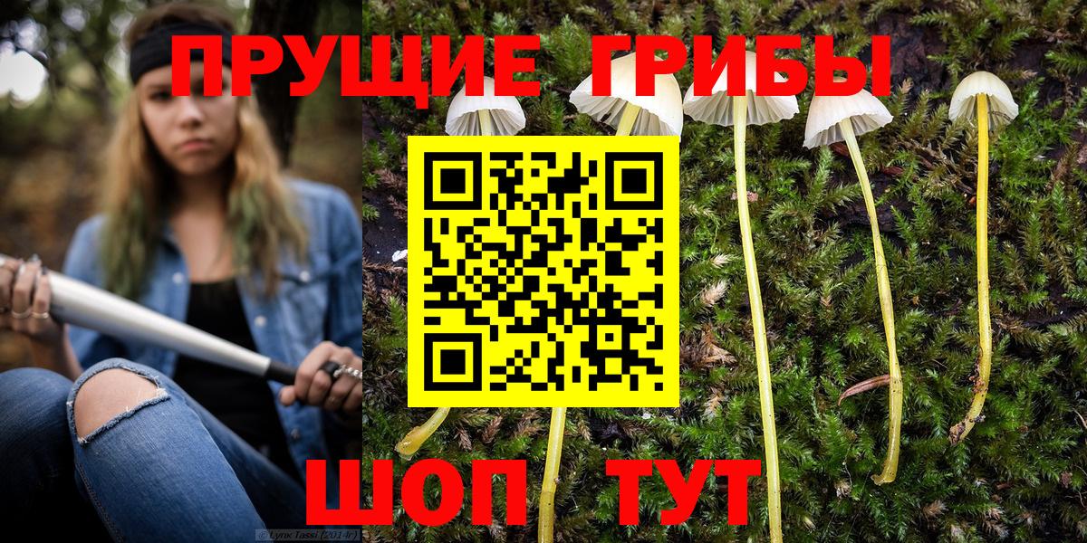 Слободской  где купить наркоту  Псилоцибиновые грибы мицелий  Вход с VPN  Псилоцибиновые грибы Cubensis 
