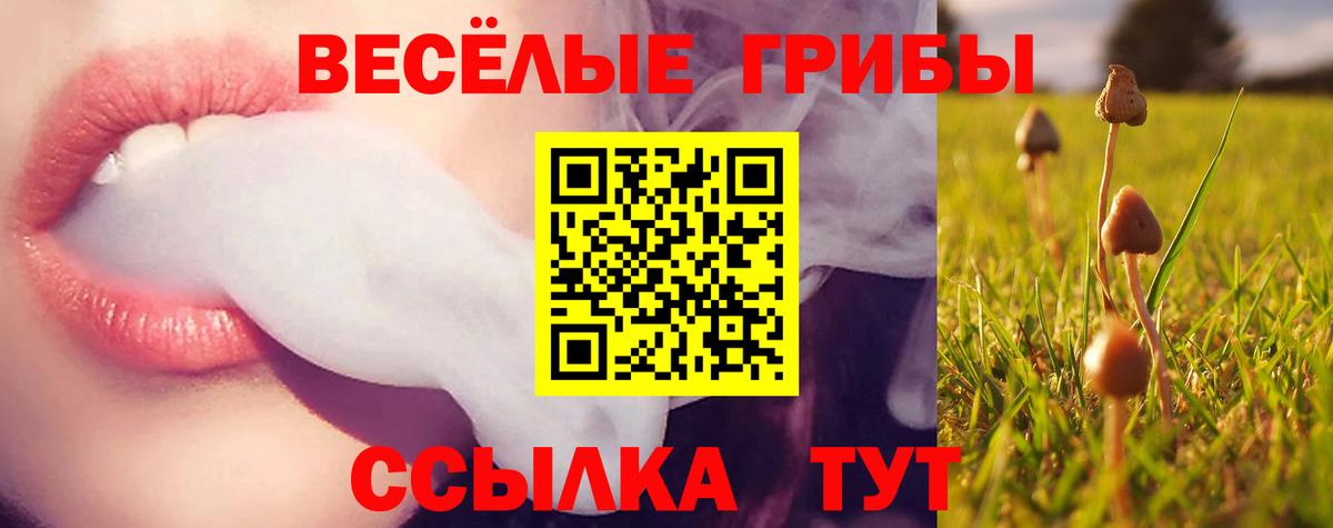 Галлюциногенные грибы MAGIC MUSHROOMS Слободской